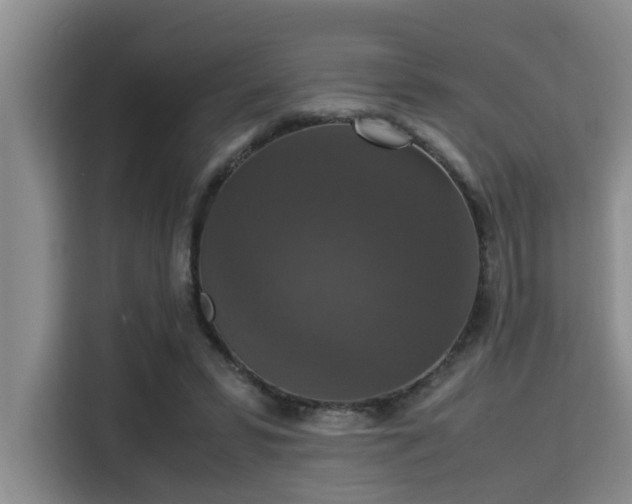 X0000115350399200911101140