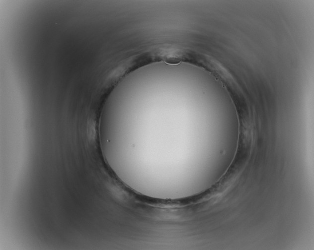 X0000115350401200911101140
