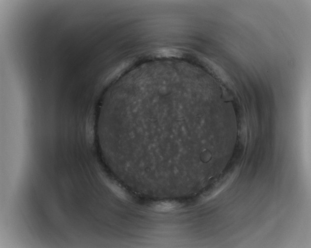 X0000115350402200911101140