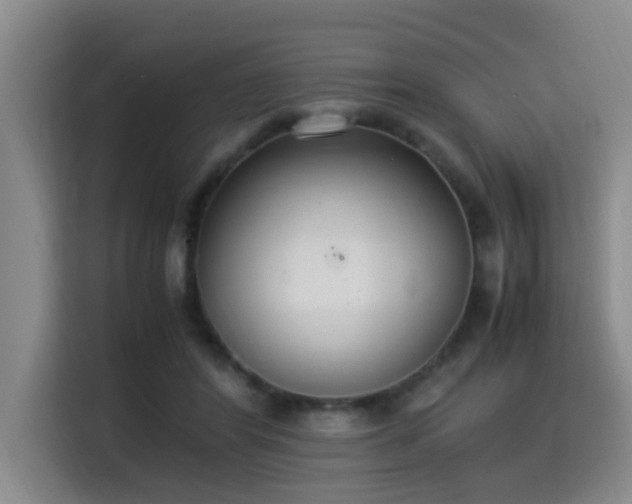 X0000115350404200911101140
