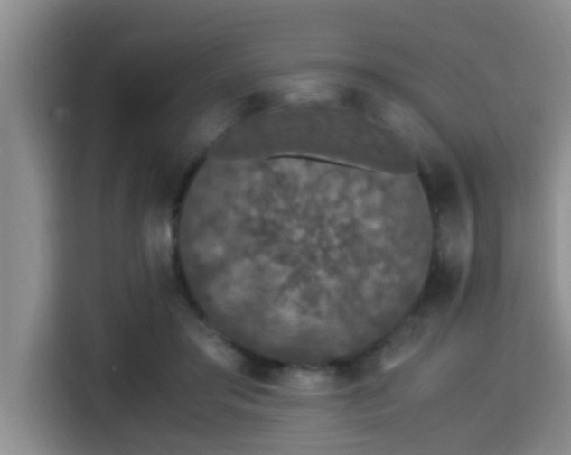 X0000115350405200911101140