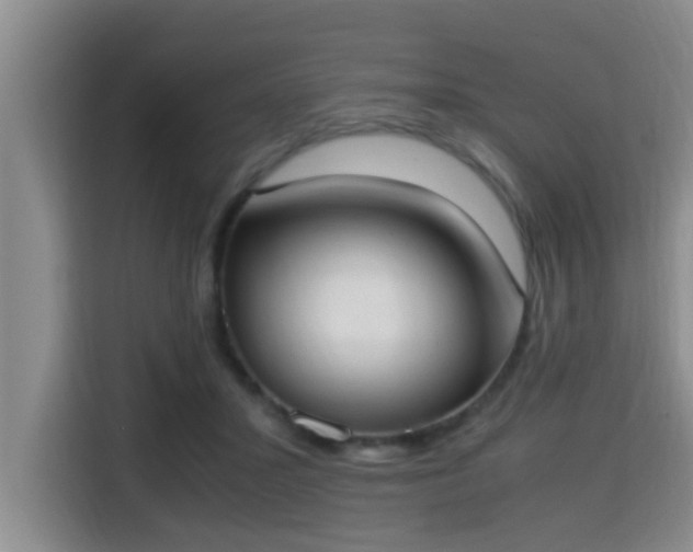 X0000115350407200911101140