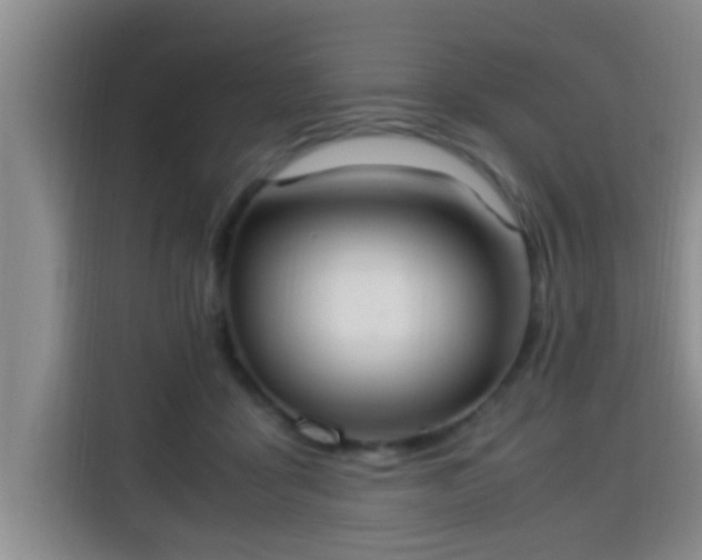 X0000115350411200911101140