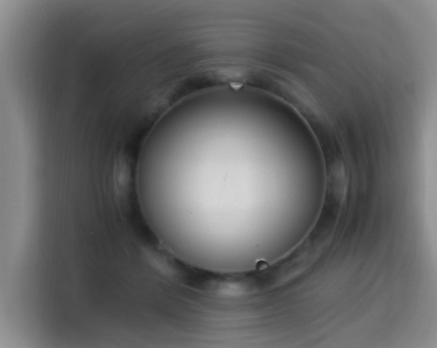 X0000115350412200911101140