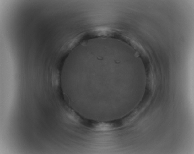 X0000115350413200911101140