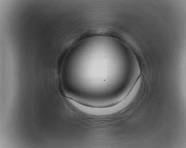 X0000115350415200911101140