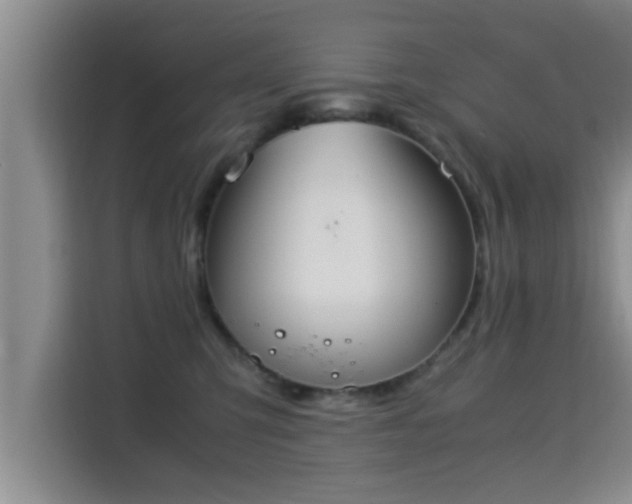 X0000115350423200911101140