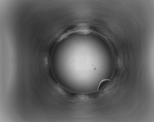 X0000115350424200911101140