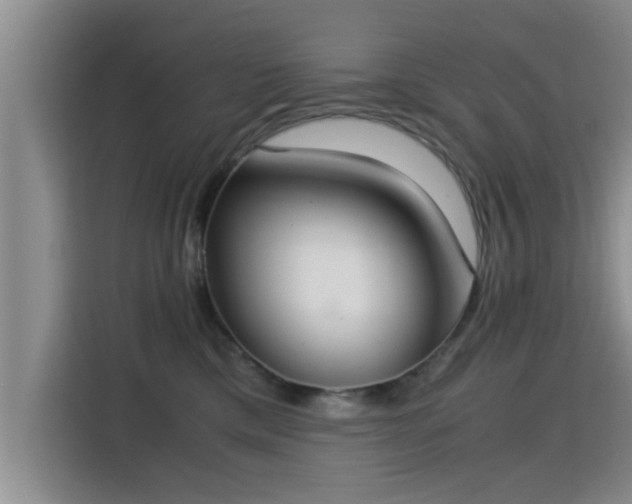 X0000115350425200911101140