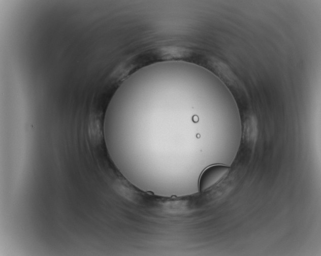 X0000115350426200911101140