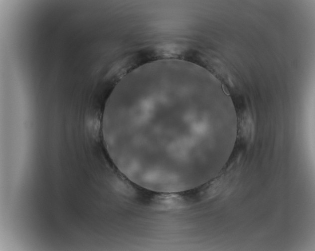 X0000115350427200911101140