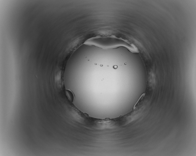 X0000115350428200911101140