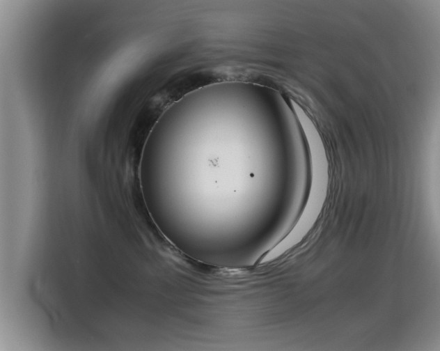X0000115350429200911101140