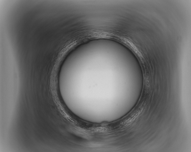 X0000115350433200911101139