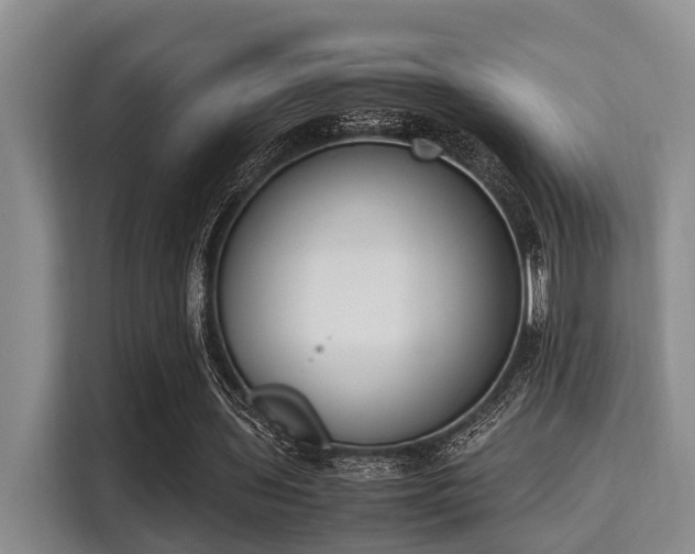 X0000115350435200911101139