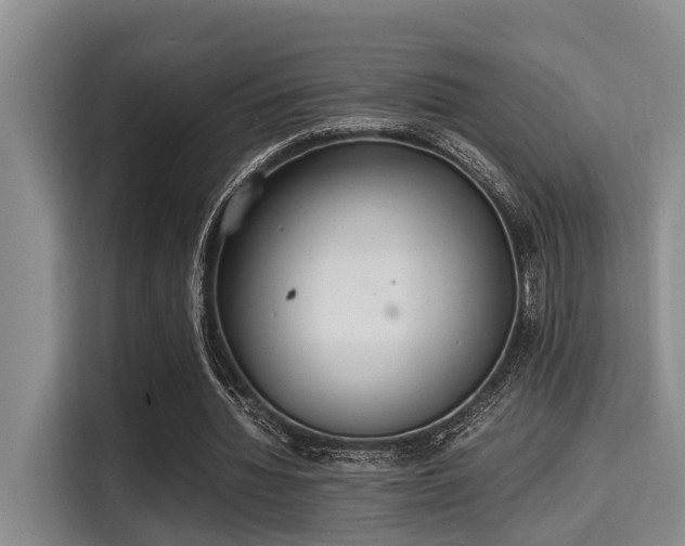 X0000115350436200911101139