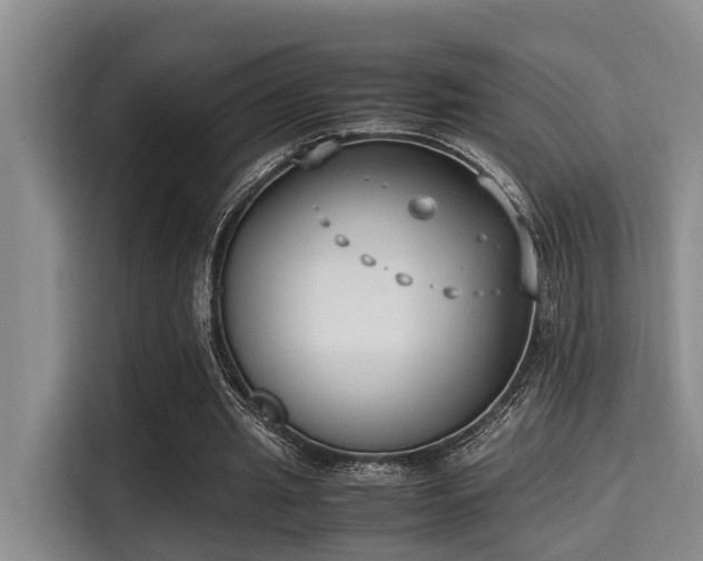 X0000115350437200911101139