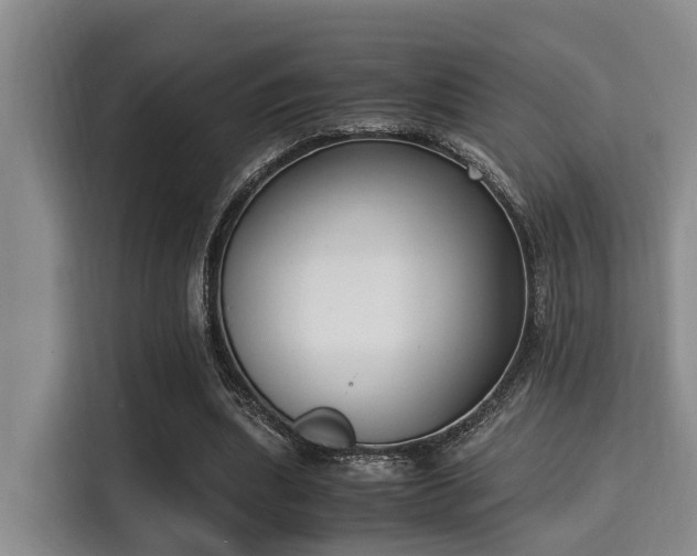 X0000115350439200911101139