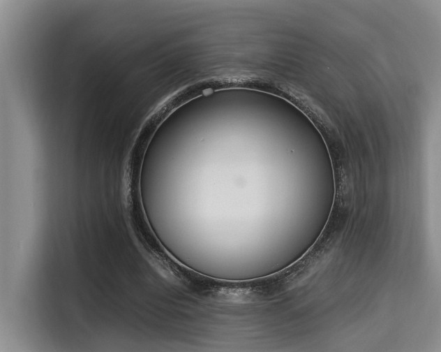 X0000115350440200911101139
