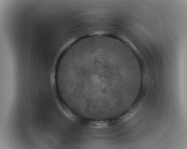 X0000115350443200911101139