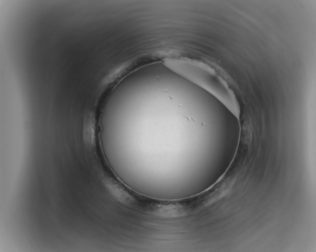 X0000115350446200911101139