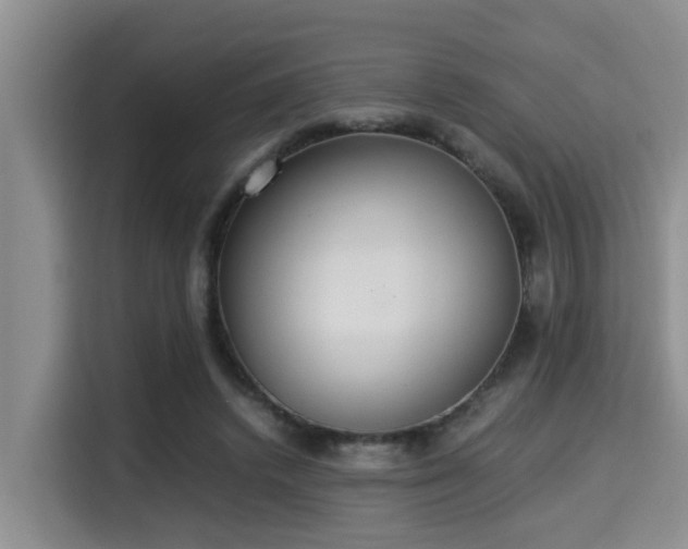 X0000115350448200911101139