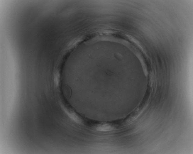 X0000115350451200911101139