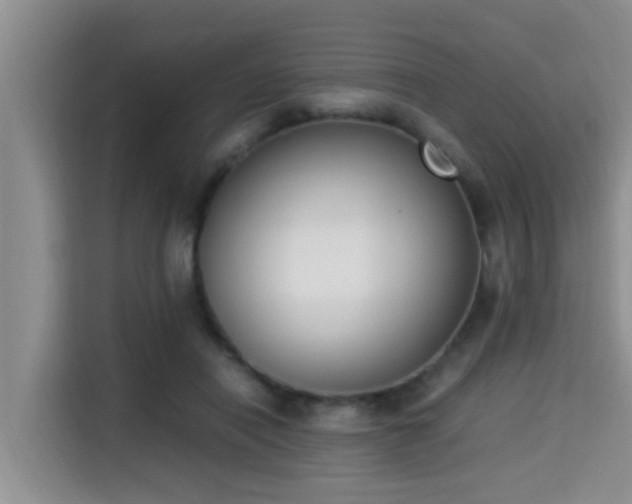 X0000115350454200911101139