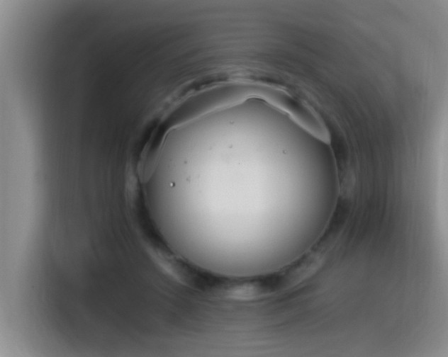 X0000115350456200911101139
