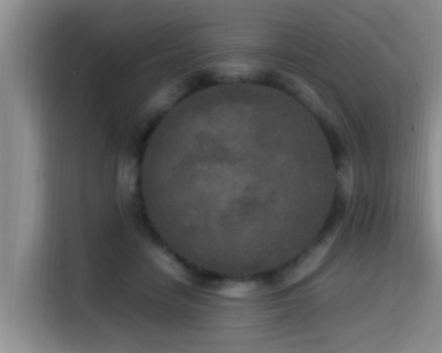 X0000115350458200911101139