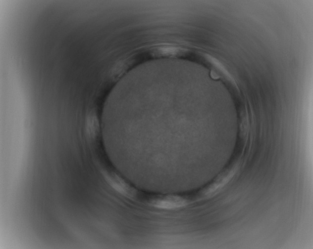X0000115350459200911101139