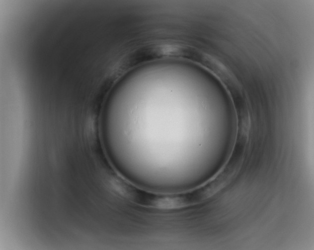 X0000115350461200911101139
