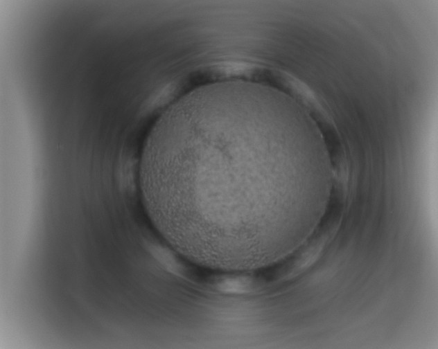 X0000115350462200911101139