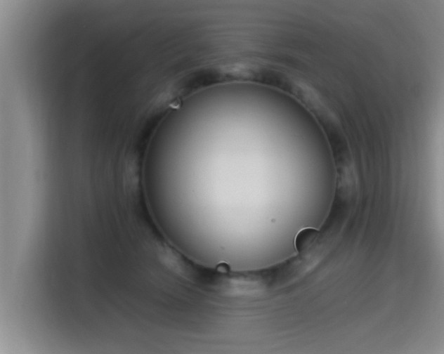 X0000115350466200911101140