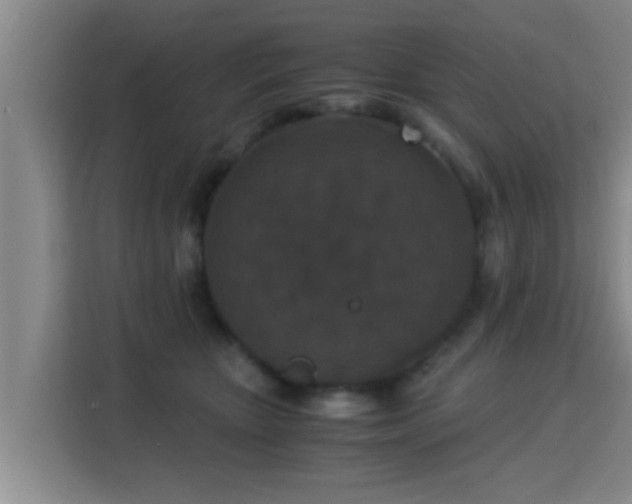 X0000115350467200911101140
