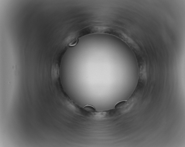 X0000115350474200911101140