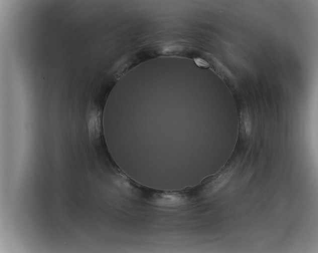 X0000115350475200911101140