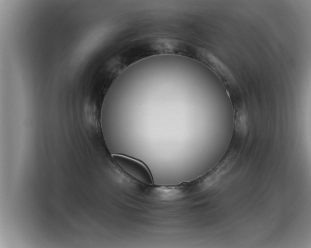 X0000115350477200911101140