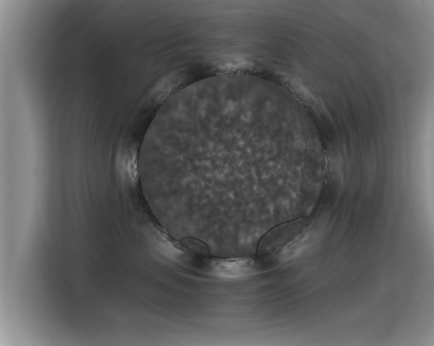 X0000115350479200911101140