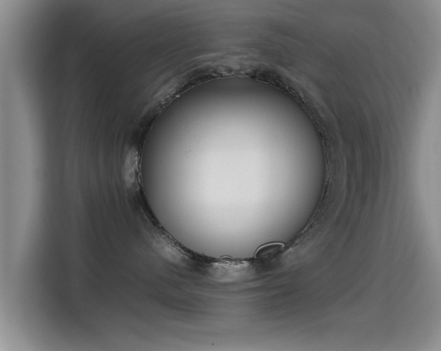 X0000115350480200911101140