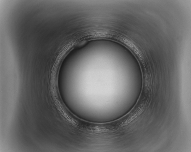 X0000115350481200911101139