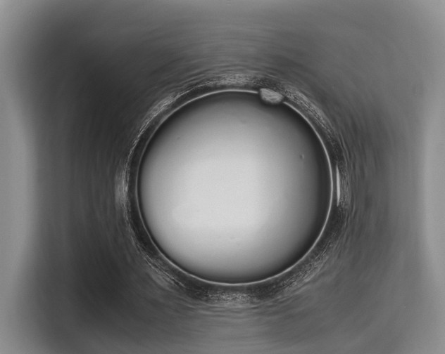X0000115350483200911101139