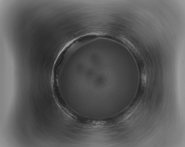 X0000115350484200911101139
