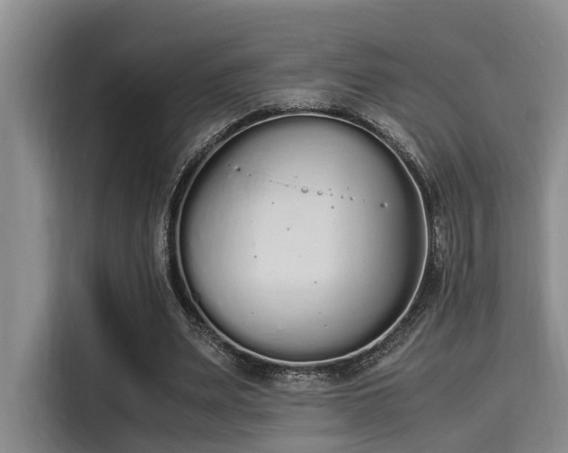X0000115350487200911101139