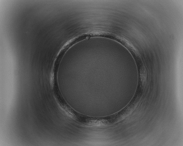X0000115350488200911101139