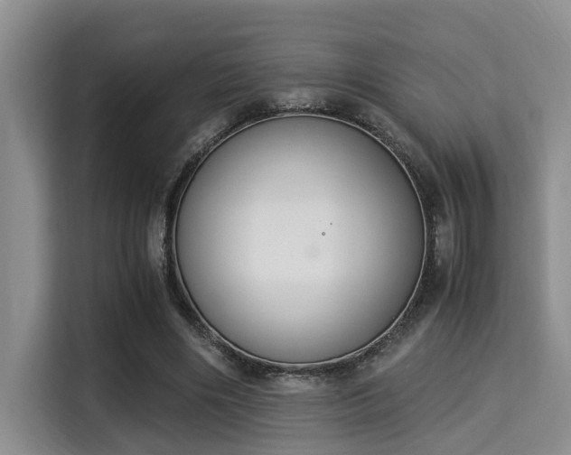 X0000115350490200911101139