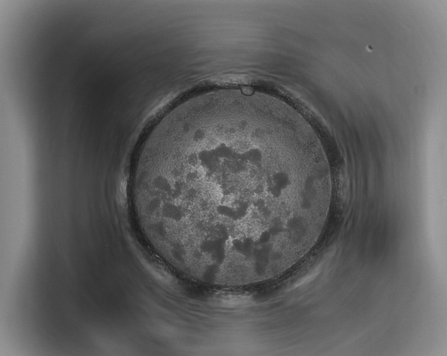 X0000115350491200911101139