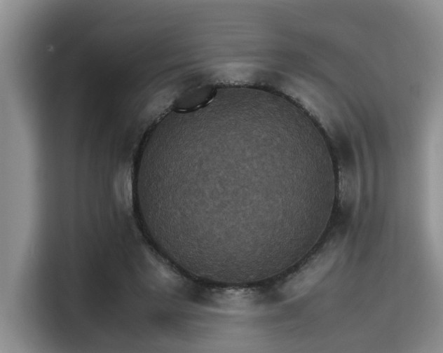 X0000115350493200911101139