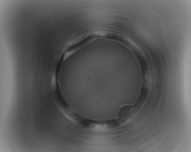 X0000115350500200911101139