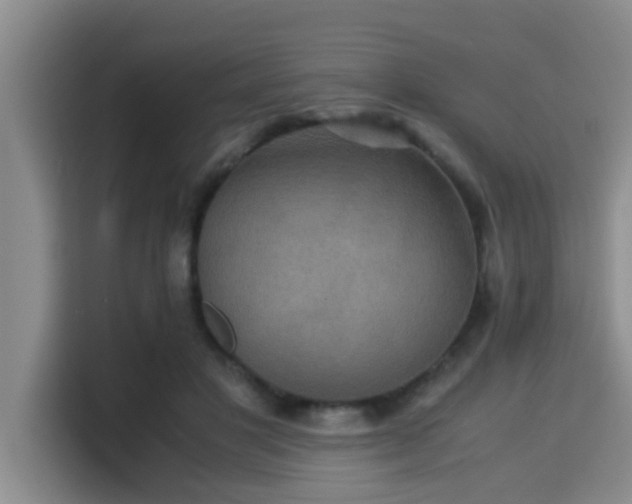X0000115350501200911101139